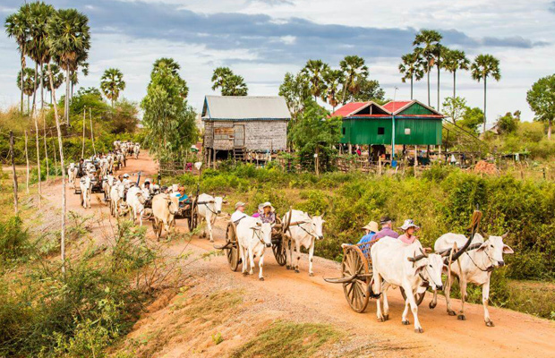Laos tour