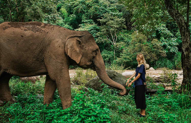 Thailand tour