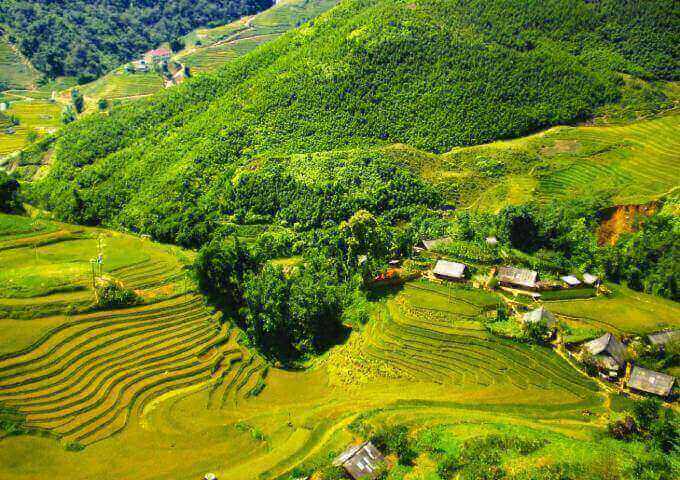sapa-paddies