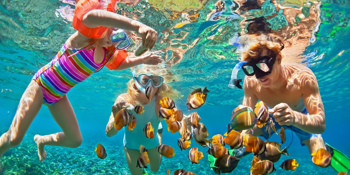 Scuba diving in Koh Tao